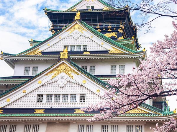 Japan cultural vacation with Kumano Kodo trail