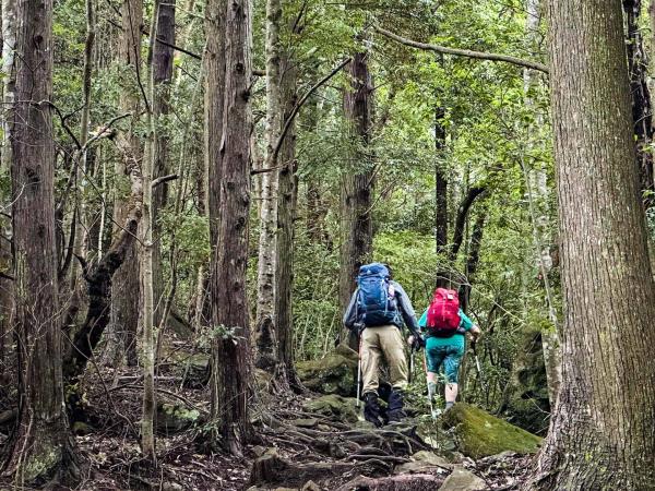 Japan cultural vacation with Kumano Kodo trail