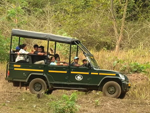 South India walking, culture & wildlife holiday, India