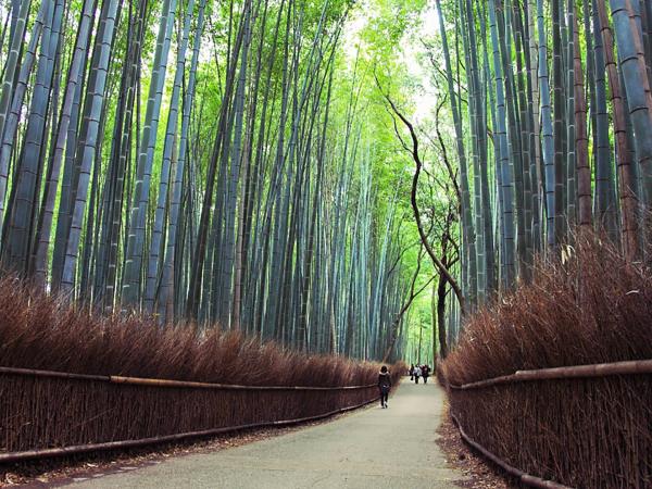 Japan cultural highlights vacation, Tokyo to Osaka