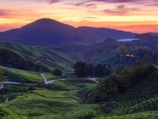 Malaysia and Borneo tailor made tour