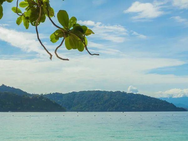 Malaysia and Borneo tailor made tour