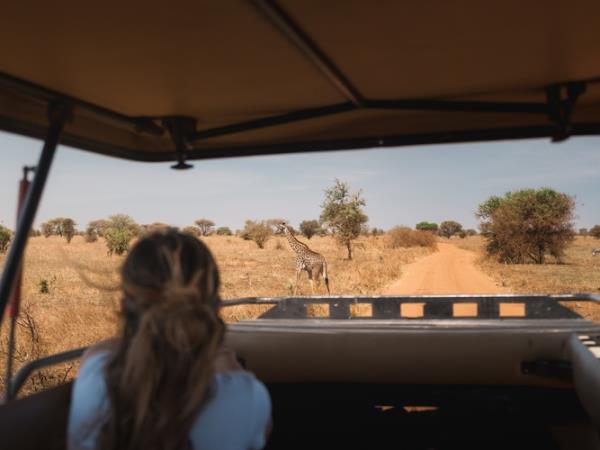 Tanzania Nyerere safari vacation & Zanzibar