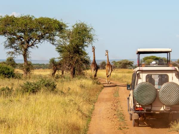 Tanzania safari vacation, tailor made