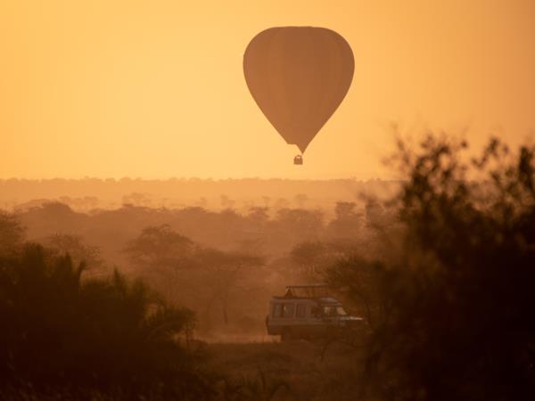 Tanzania safari vacation, tailor made