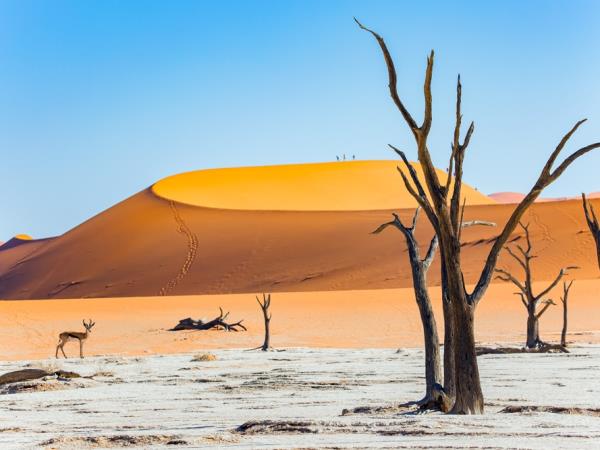 Windhoek to Victoria Falls self drive tour