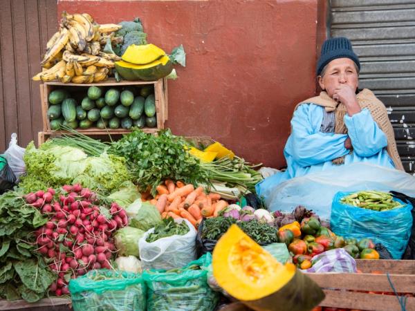 Wonders of Peru vacation