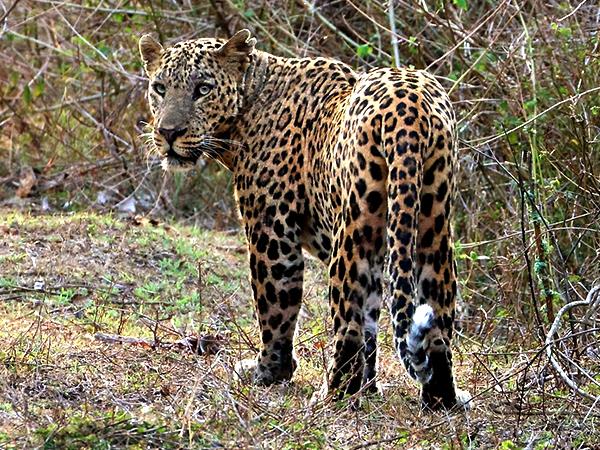 South India luxury family vacation