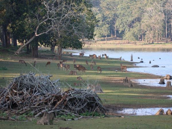 South India luxury family vacation