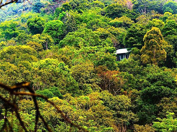 South India luxury family vacation