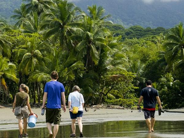 Costa Rica turtle conservation experience 