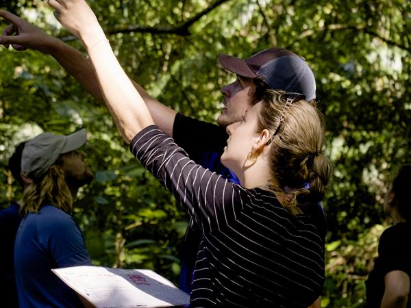 Costa Rica turtle conservation experience 