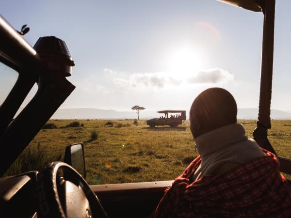 Masai Mara express safari vacation