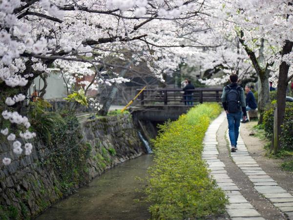 Taiwan and Japan tailor made tour