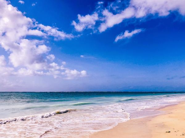 Kenya wildlife and Diani beach holiday