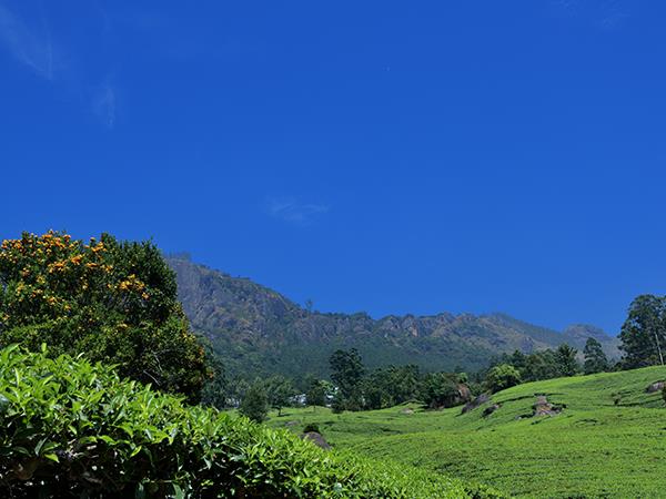 Kerala & Tamil Nadu mountain biking vacations, Western Ghats