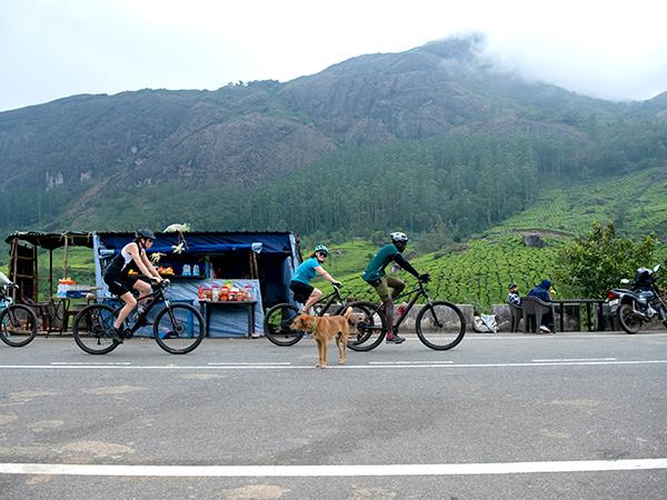 Kerala & Tamil Nadu mountain biking vacations, Western Ghats