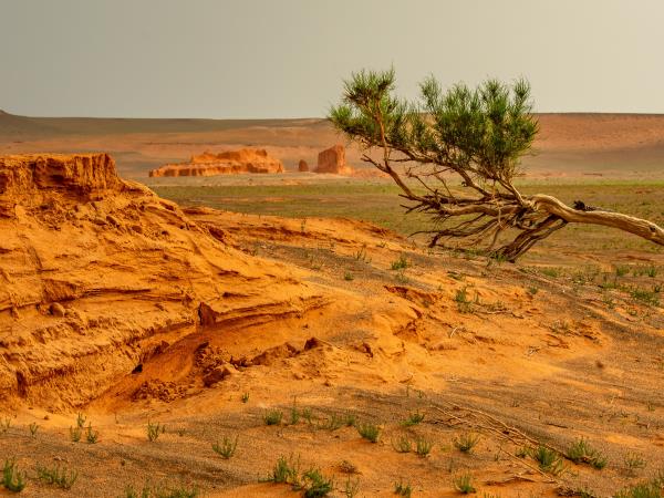 Gobi Desert explorer tour in Mongolia