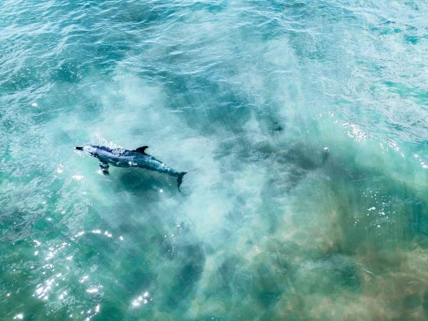 Western Australia self drive holiday