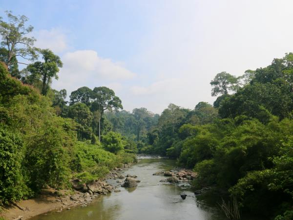 Wild Borneo vacation, private departure