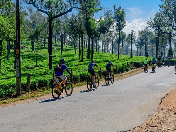 South India cycling tour, coast to coast