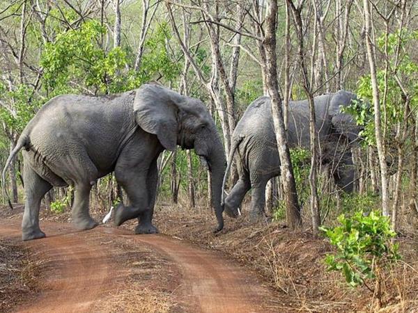 Ghana slave route tour
