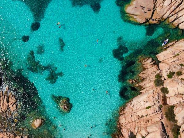 Sardinia (shell)