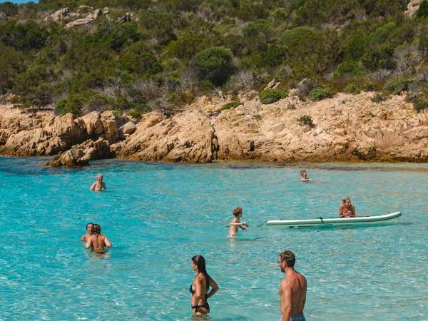 Sardinia (shell)