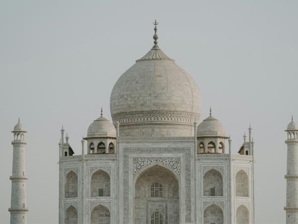 Tiger safari and Golden Triangle tour in India 