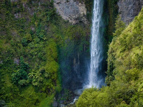 Java & Sumatra tailor made vacation