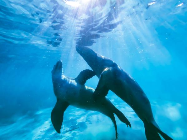 Australia vacations, tailor made