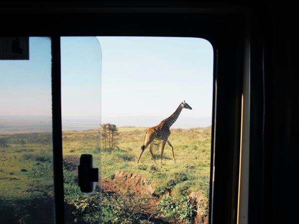 Classic South Africa self drive vacation