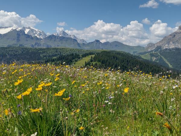 Dolomites painting vacation in Italy