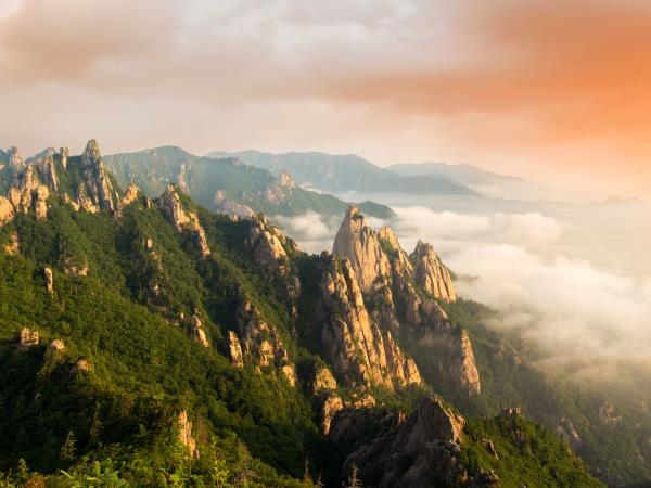South Korea cultural tour