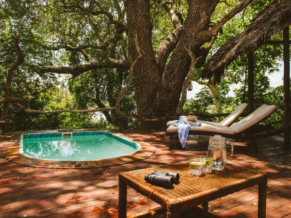 Southern Tanzania and Mafia Island vacation