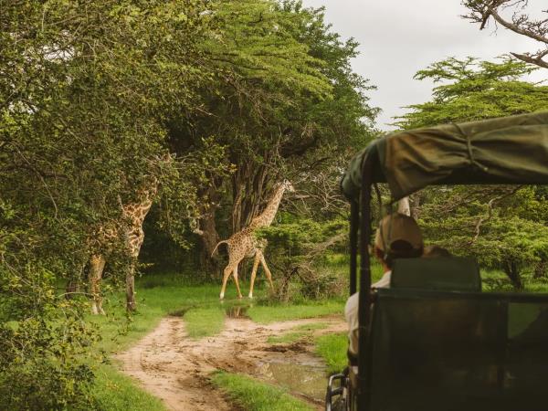 Southern Tanzania and Mafia Island vacation