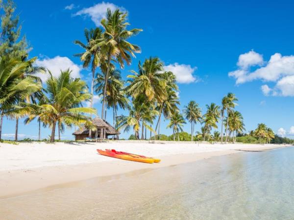 Southern Tanzania and Mafia Island vacation