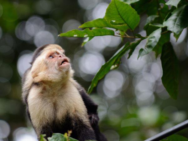 Costa Rica family vacation for all ages