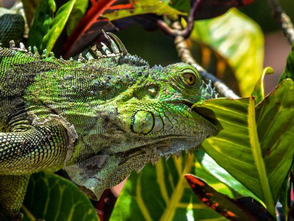 Costa Rica family vacation for all ages