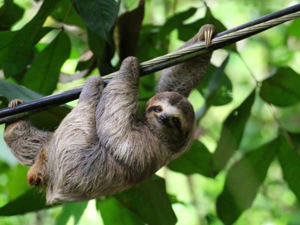 Costa Rica family vacation for all ages