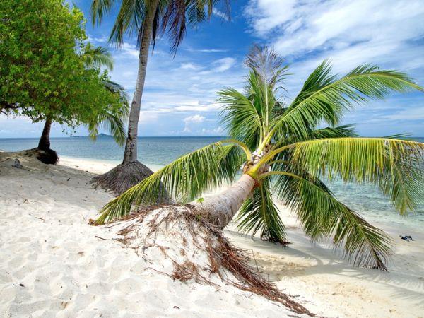 Borneo family vacation for all ages