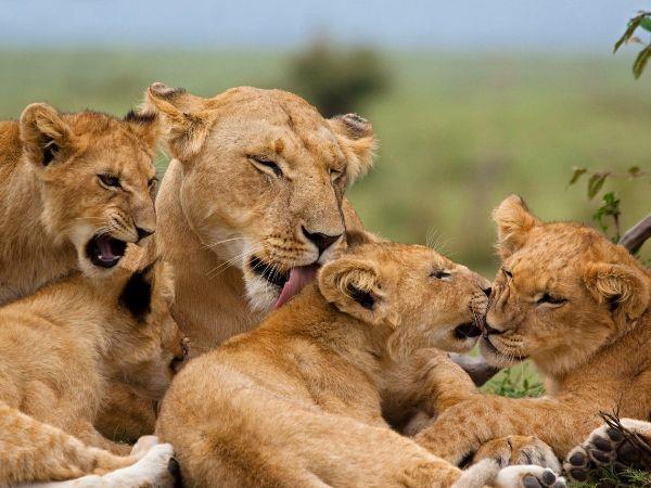 Tanzania family vacation for all ages