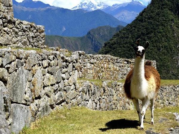 Salkantay budget trek to Machu Picchu