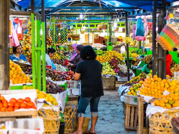 Highlights of Sumatra small group vacation