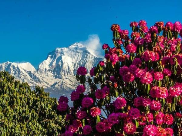 Nepal trek with Chitwan National Park safari