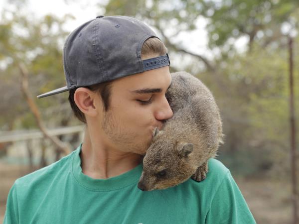 Volunteer with children & animals in South Africa