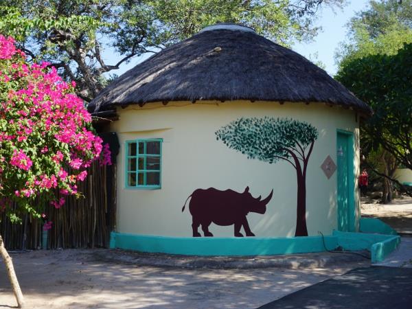 Volunteer with children & animals in South Africa