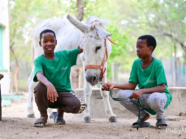 Volunteer with children & animals in South Africa