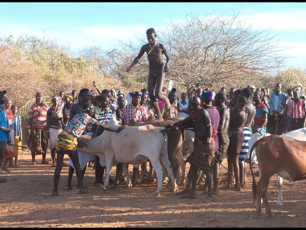 Wildlife and cultural tour to Ethiopia