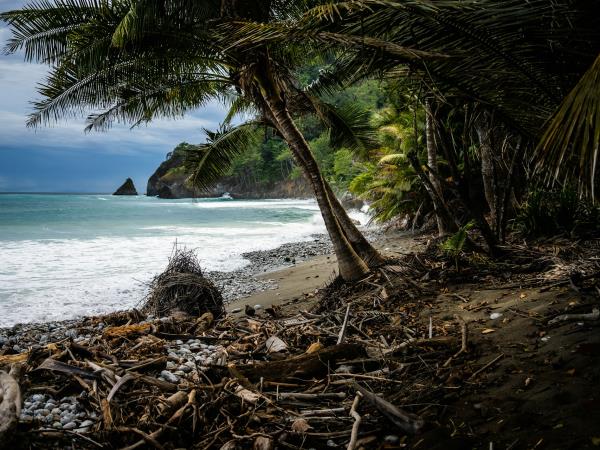 Wild heart of Costa Rica vacation